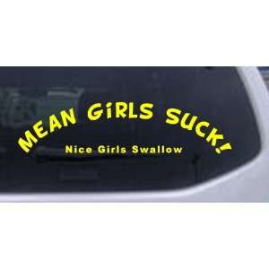 Mean Girls Suck Nice Girls Swallow Funny Car Window Wall Laptop Decal 