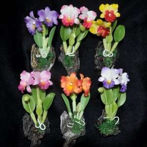  Beautiful Orchid and Tropical Magnets Selection of Four 
