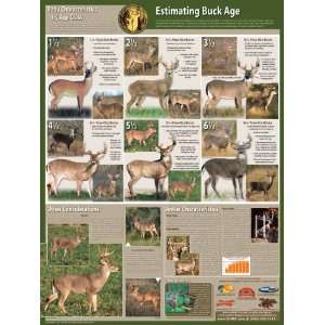  Selective Buck Harvest Poster