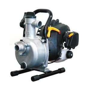Industrial Grade 6CGG9 Engine Driven Pump, 2 Cycle, 9/10 HP, 1 In 