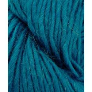   Cascade Pastaza Yarn #0269 Turquoise Arts, Crafts & Sewing