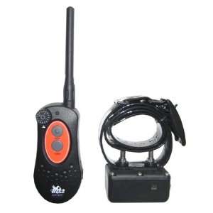  D.T. Systems H2O 1 Mile Remote Trainer with Rise and Jump 