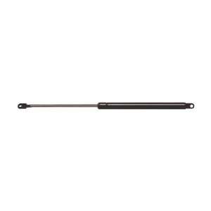  StrongArm 6316 Audi A4, Hood Lift Support, Pack of 1 