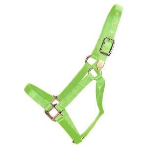   Halter, Small/Cob Size 500 to 800 Pound, Lime Green