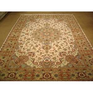  8x11 Hand Knotted Tabriz Persian Rug   1111x81