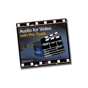   with Pro Tools (Audio for Video with ProTools) Musical Instruments