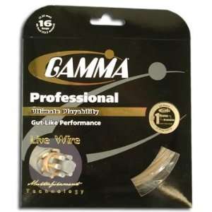  Gamma Live Wire Professional 16 String