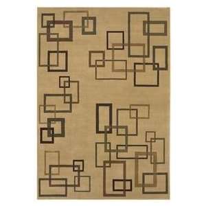 Shaw Inspired Design Cubist Beige 17100 Contemporary 55 x 78 Area 
