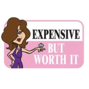   Magnet Expensive But Worth It (Pack of 5)