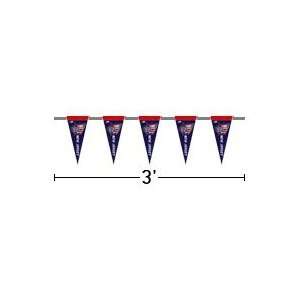  New Jersey Nets Pennant String (3 foot)