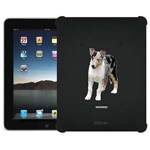   Smooth Collie on iPad 1st Generation XGear Blackout Case Electronics