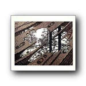   Escher 25.5X21.5 Poster Puddle Mud Reflection 19