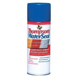 Thompsons 24101 1 Gallon Clear WaterSeal Multi Surface Waterproofer 