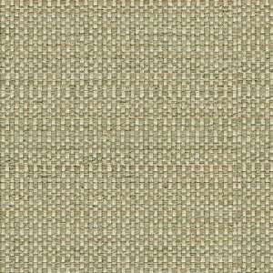  30630 23 by Kravet Smart Fabric