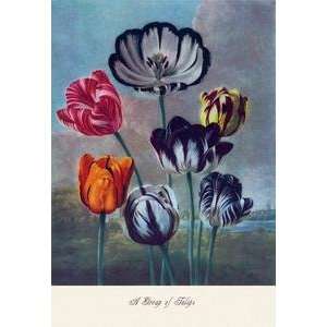  Vintage Art Group of Tulips   04342 3