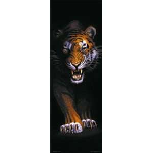  Prowling Tiger Poster Print