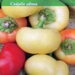 ALMA PAPRIKA PEPPERS~`~Great as stuffed or frying~``~Seeds 15+ Fresh 