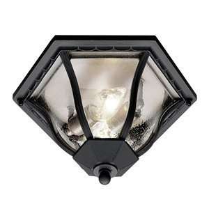  Trans Globe 4559 WH Worland Outdoor Close to Ceiling Light 