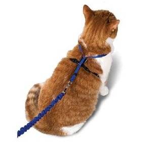  Products Cat Collars, Leashes & ID tags