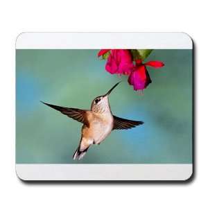    Mousepad (Mouse Pad) Black Chinned Hummingbird 