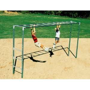    Sport Play 501 410 Jr. Horizontal Ladder   Galvanized Toys & Games