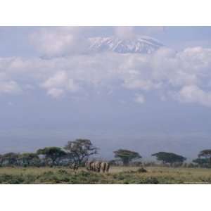  Amboseli National Park and Mt. Kilimanjaro, Kenya, Africa 