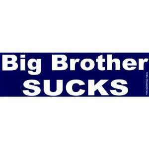 Big Brother Sucks