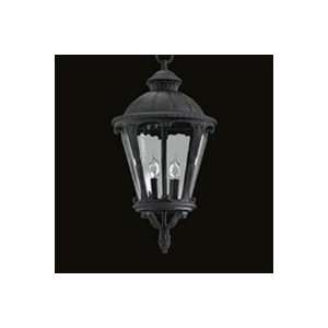  7625   Dalton Outdoor Pendant