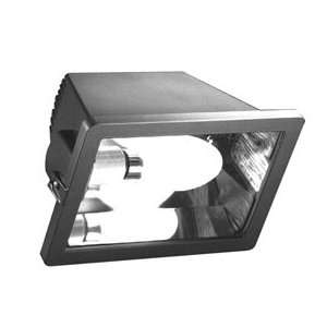  Tlx Twilighter Mini Flood Light With Lamp, High Pressure 