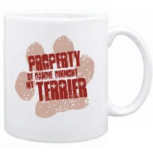  New  Property Of My Dandie Dinmont Terrier  Mug Dog 