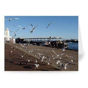  A flock of seagulls at North Shields fish   Greeting 