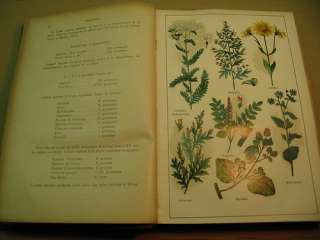 MON DOCTEUR / PLANTES MEDICINALES / MENIER / HETTINGER  