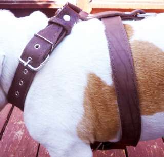   Quality Brown Leather Walking Dog Harness 33 37 Large, Wide Straps