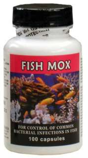 Fish Mox Amoxicillin 250mg 100 capsules  