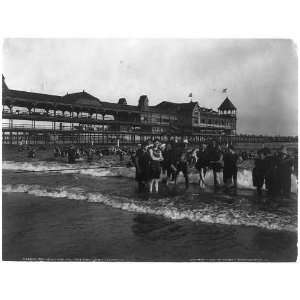  Bathers,Iron Pier,Coney Island,N.Y.,c1903,Bathing suits 