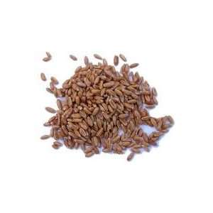 Farro Perlato 17.6oz Grocery & Gourmet Food