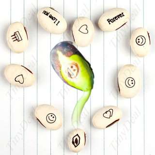 10 White Magic Bean Seeds with Message Words FOTHMB01  