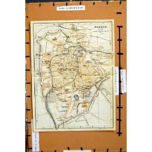  Map 1928 Street Plan Padavo Italy Canale Alicorno