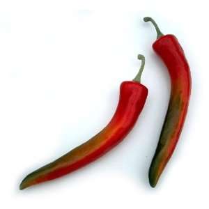  Artificial All Red Chili Pepper, Large, Box of 36 