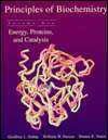 Principles of Biochemistry Energy, Proteins, and Catalysis, Vol. 1 