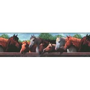  Horse Wallpaper Border 