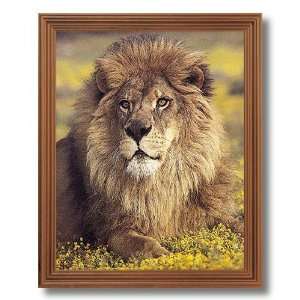  African Lion Sitting Flowers Animal Wildlife Picture Oak Framed Art 