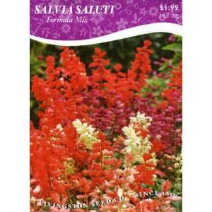  Salvia   Saluti Formula Mix Patio, Lawn & Garden