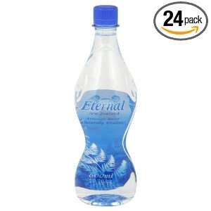Eternal Artesian Water, 20.2 Ounce (Pack of 24)  Grocery 