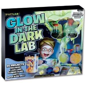   In The Dark Lab (SmartLAB) (9781603801294) Nancy W. Cortelyou Books