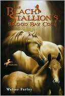 The Black Stallions Blood Bay Walter Farley