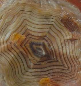 Museum Quality Banded Lake Superior Agate  