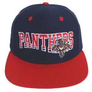  Florida Panthers Retro Hat Cap Snapback Script 2 Tone 