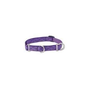  Lupine 3/4 Inch Combo Dog Collar 14 20 Jelly Roll 