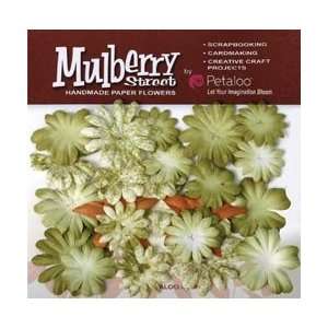   Paper Tie Dye Small Daisies 24/Pkg   Green Arts, Crafts & Sewing
